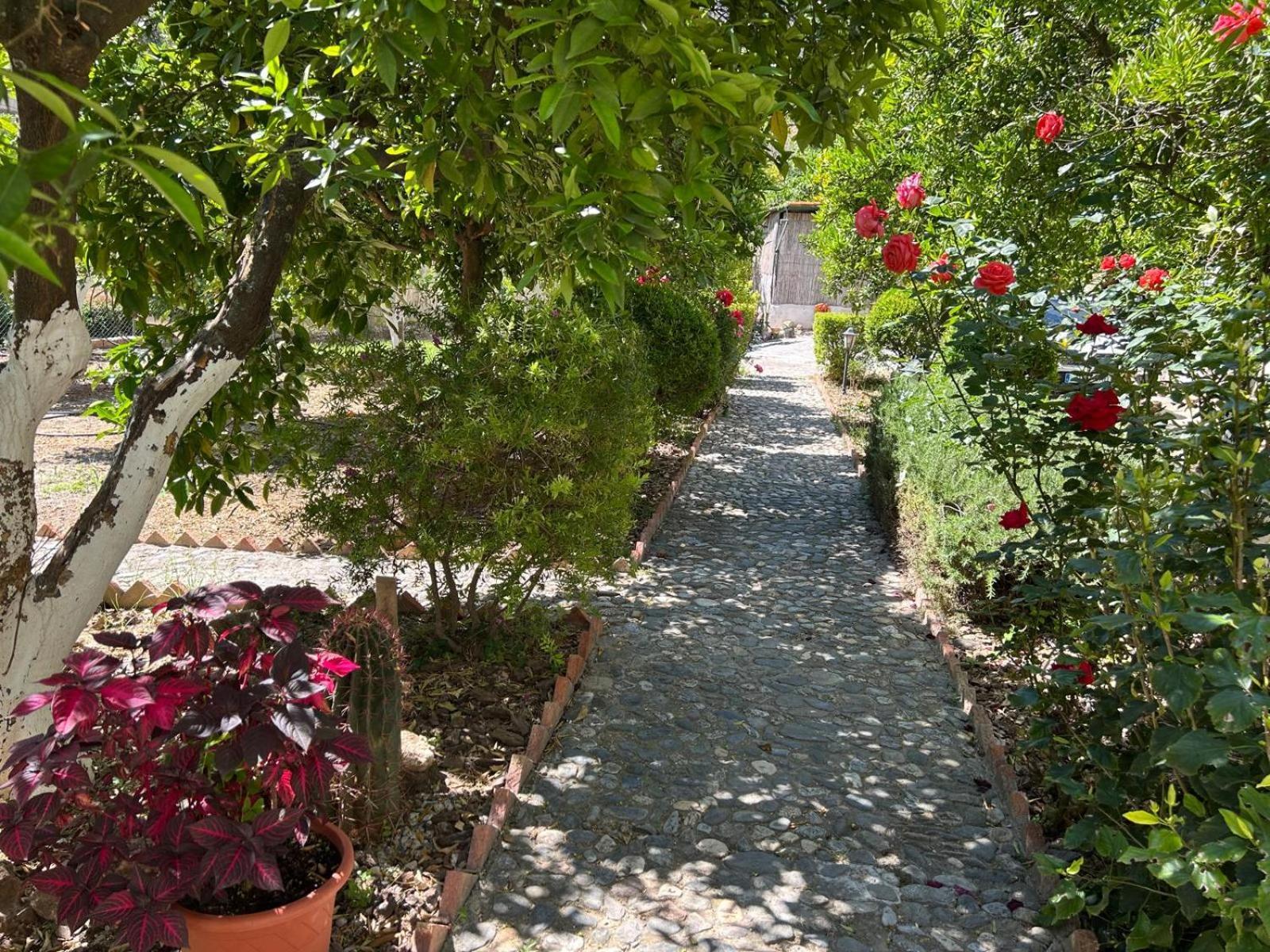 La Despensa Del Valle Restábal エクステリア 写真